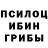 Галлюциногенные грибы Psilocybe dafree