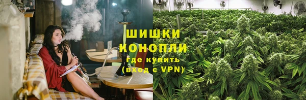 крисы Алапаевск